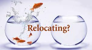 7 Tips To Mastering A Job Relocation