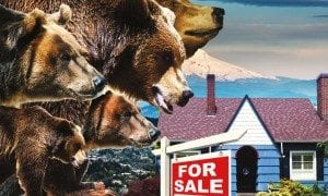 ArchibaldRelocationBears